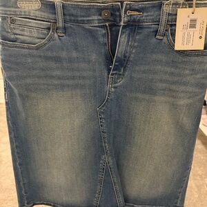 Lila Ryan Denim Skirt